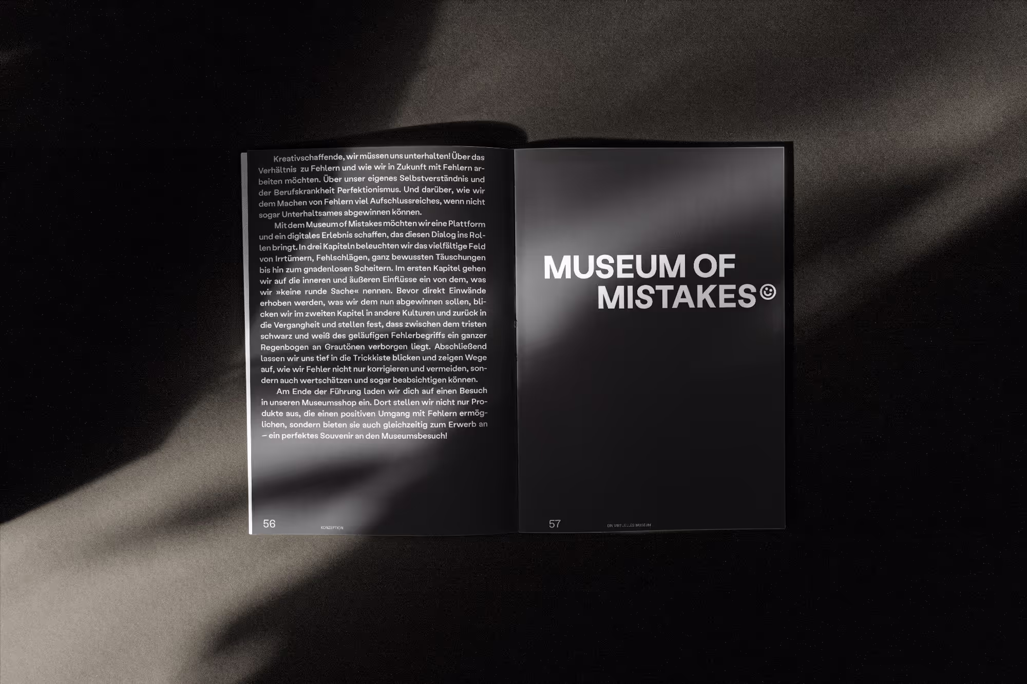 Museum of Mistakes (MA Thesis)