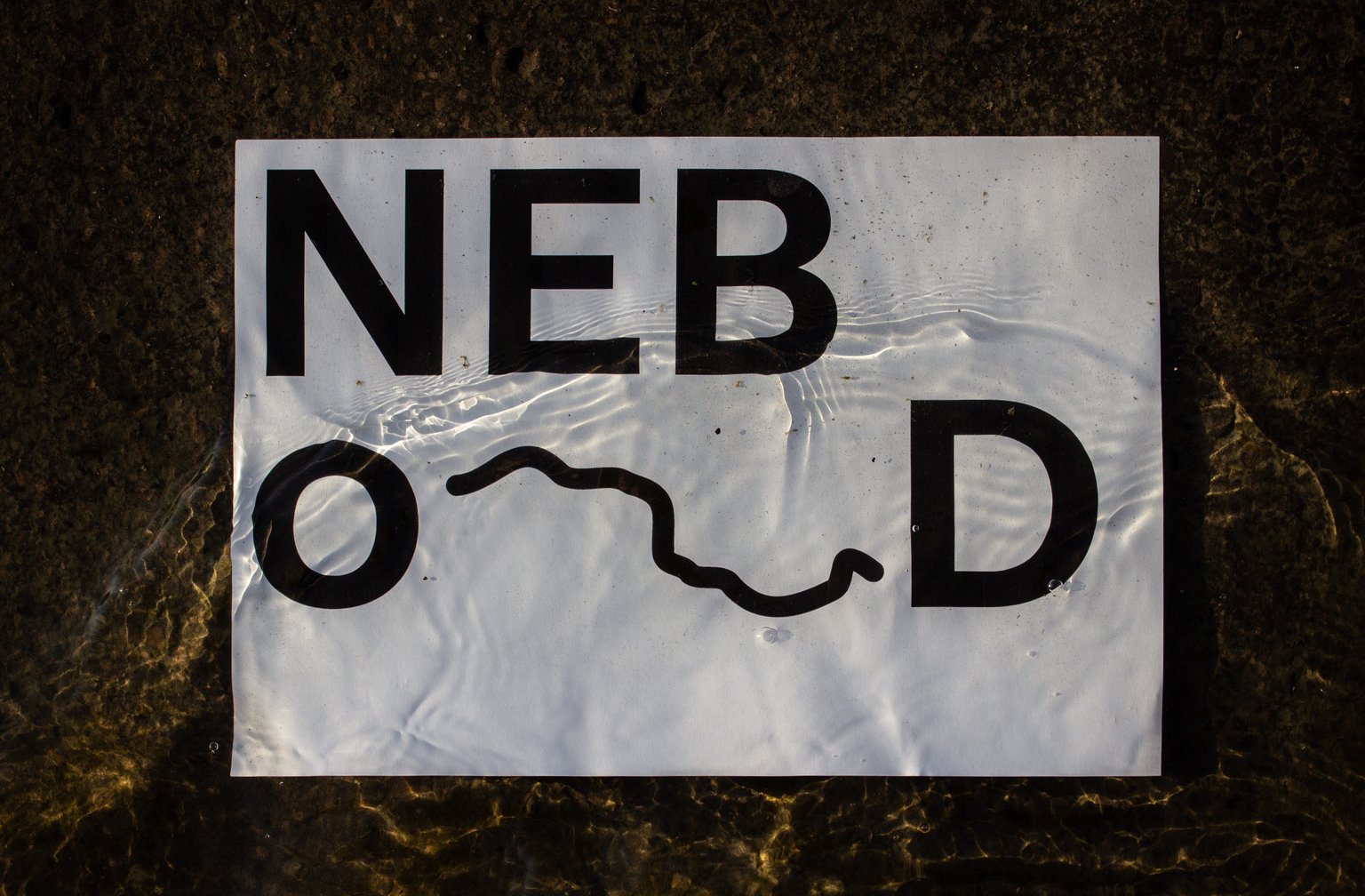 NEBoD logo printed on a white sheet lying under shallow, rippling water, with the Danube drawn as a wavy line between the letters