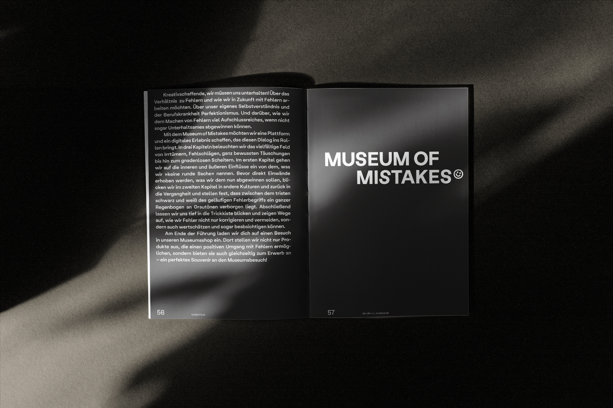 Open Museum of Mistakes publication lying in dramatic light and shadow